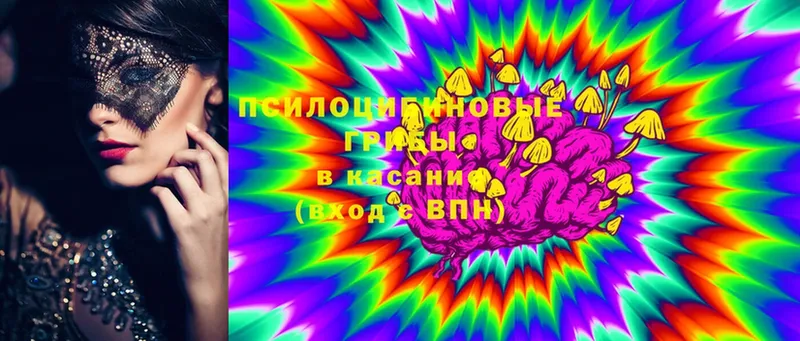 Галлюциногенные грибы Psilocybine cubensis  Удачный 